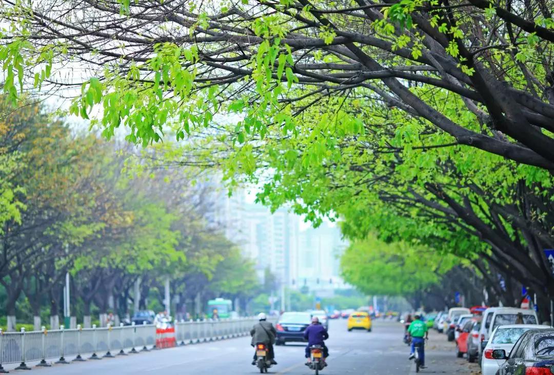 龙岩的美不用多说，6个B就可以形容