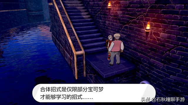 宝可梦剑盾一周目二周目什么意思,switch精灵宝可梦剑盾一周目