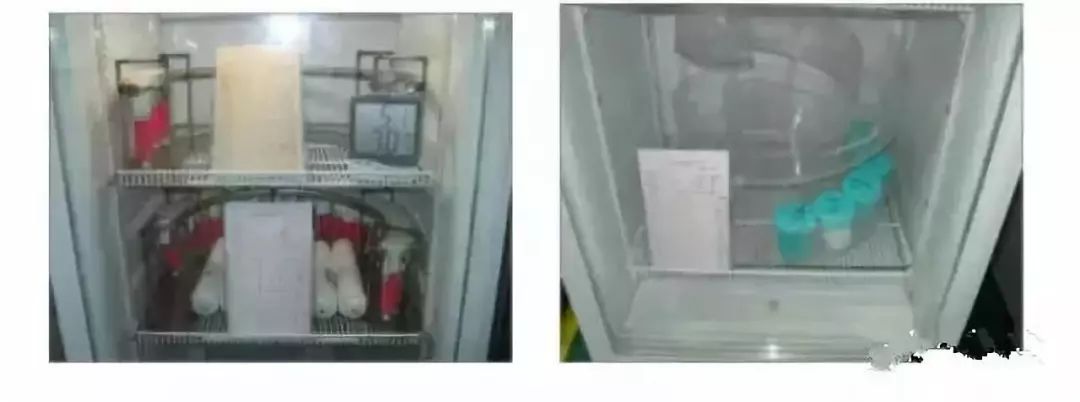 仓库5s管理内容和标准,厂区内公共区域5s管理标准