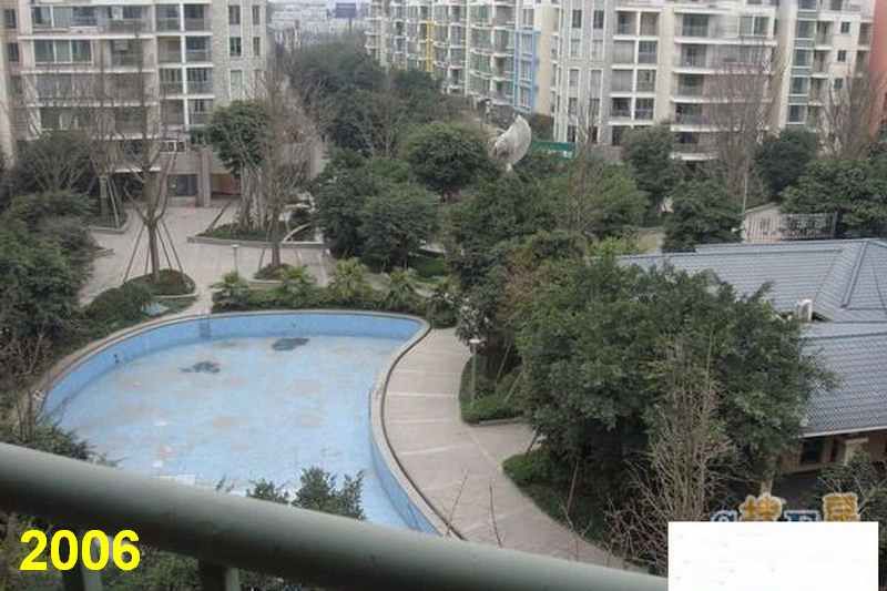 成都网友投诉怡丰新城小区榕树成灾危及行人，高新管委会回应