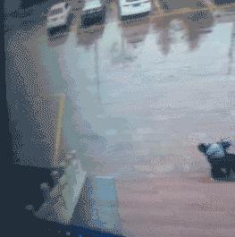 奇葩新闻大全爆笑合集,各种奇葩新闻笑死人