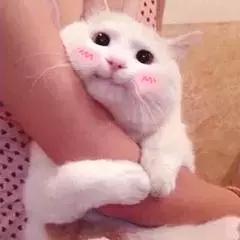 一招改掉用喉咙唱歌的习惯,怎样用气息唱歌打开喉咙