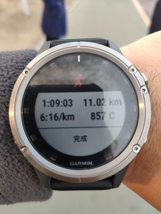 阳光跑者一路沿着向海大道跑串盘锦三个区,沿途风光无限好。