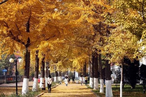 河北经贸大学国家一流建设点,河北省八大高校
