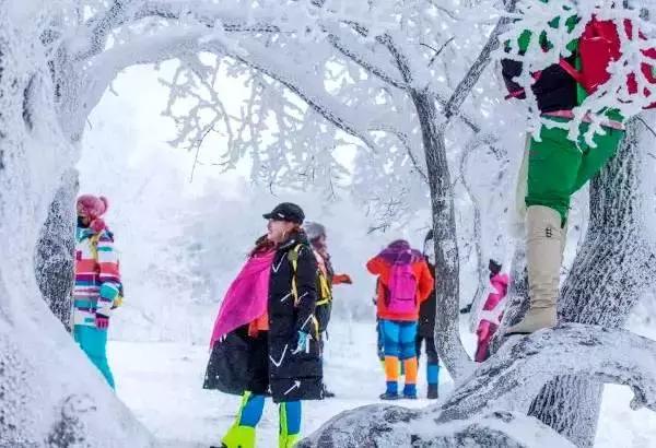 说话的方式简单点——这是wuli大延边的雪景！我是进来看图的！