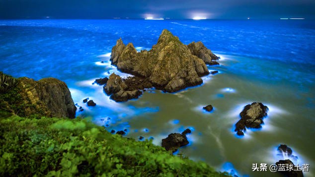 宝岛台湾的什么地方也很有名,宝岛台湾出名的地方