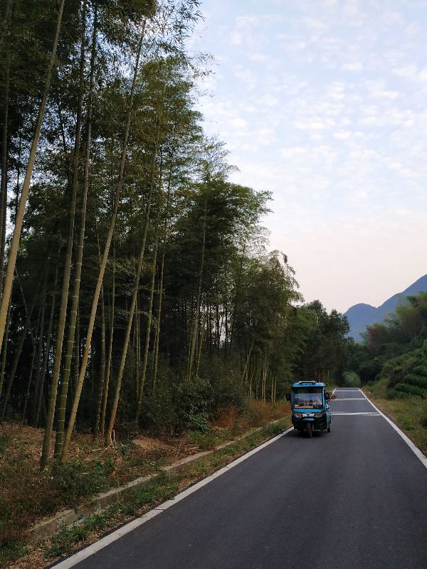 杭州周边徒步最美线路 (杭州最野的徒步路线)