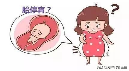 阴道流血14天，孕妈妈说：我要保胎，留住这个“坚强”的孩子