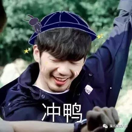 最新神仙综艺节目,2019高分冷门的良心综艺安利