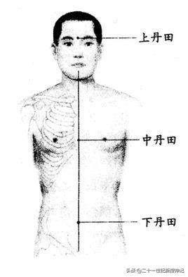 性命之谜(廿四)脾脏:五脏中的小透明,却有大名鼎鼎的神灵代表