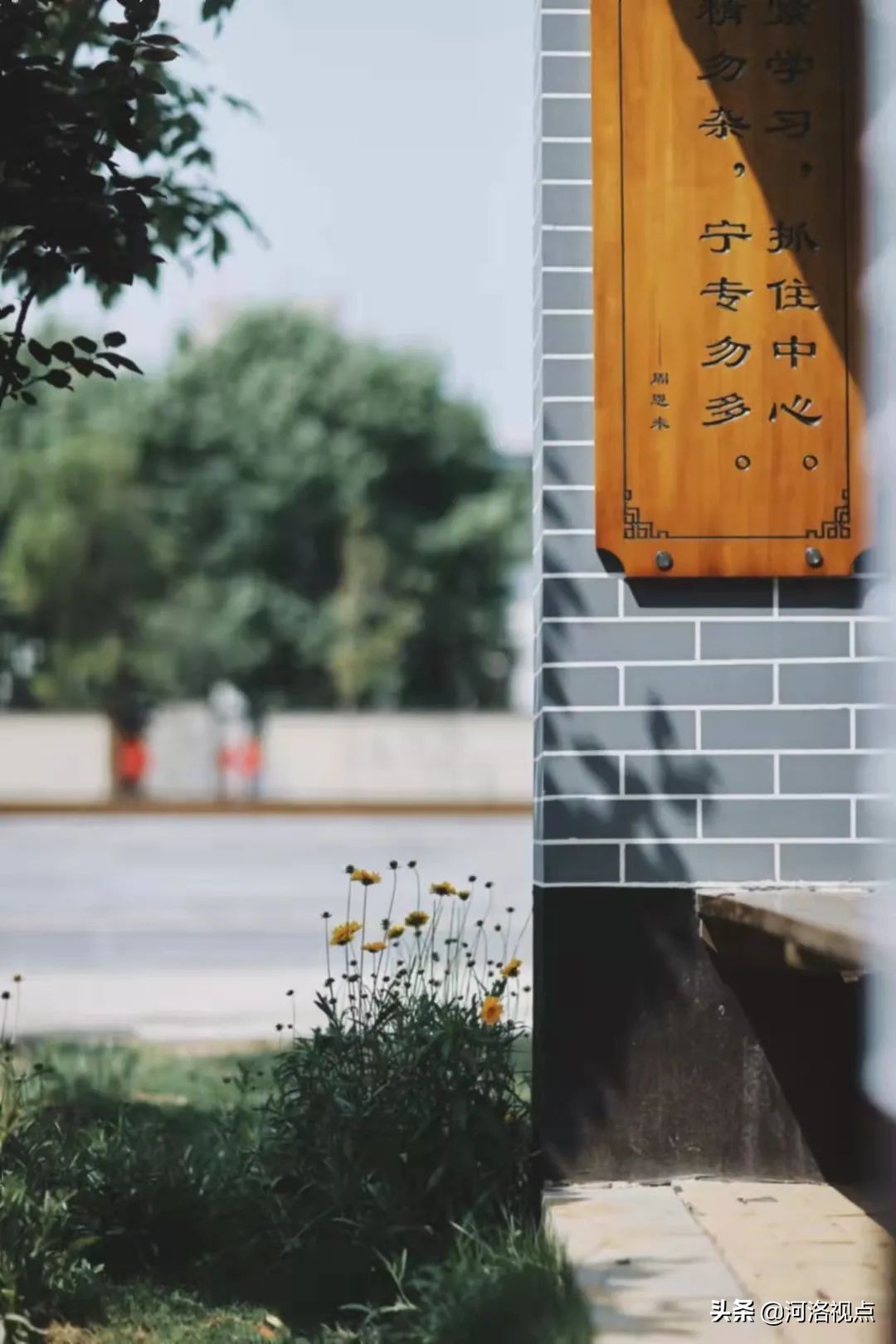 洛阳市第一实验小学校长李青青,洛阳市实验小学校长李青青简历