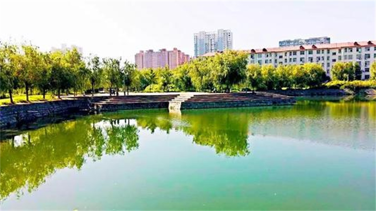 迁安市和武安市哪个比较强,河北迁安靠什么发展