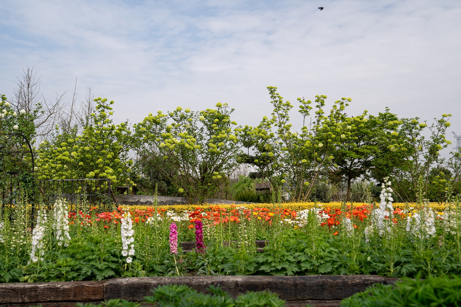 海蒂和噜噜的花园值得推荐吗,海蒂和噜噜的花园打卡