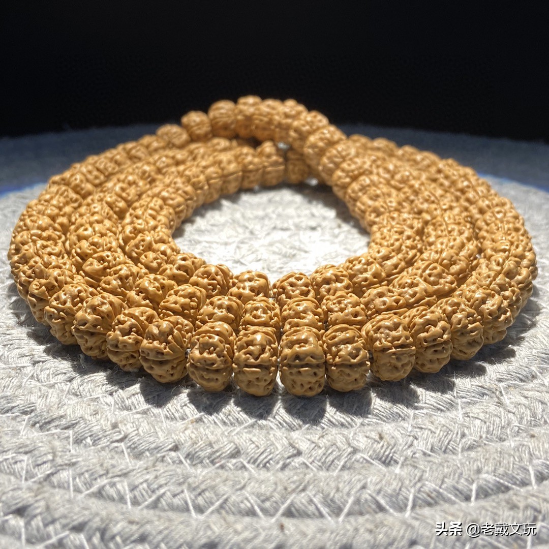 文玩手串金刚菩提心得,小金刚菩提子基础知识