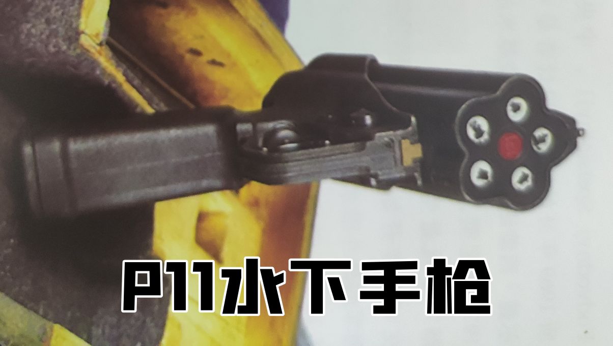 英国枪史图册全篇,德国枪图片