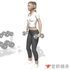 一周4练健身计划,4分化训练怎么安排一周计划