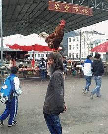 捡到了u盘里面会有什么,捡到一个u盘还好没有用