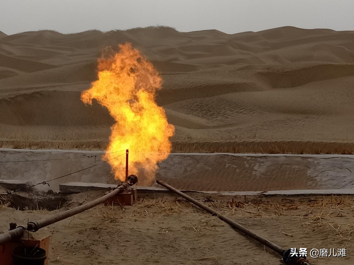 风沙中坚守,风沙中的守护