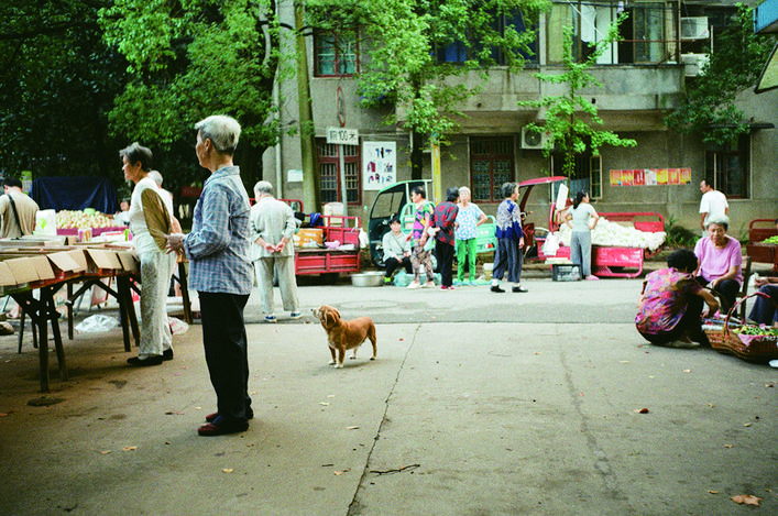 没有培训班的周末是什么样,没有补习班的暑假是不完整的