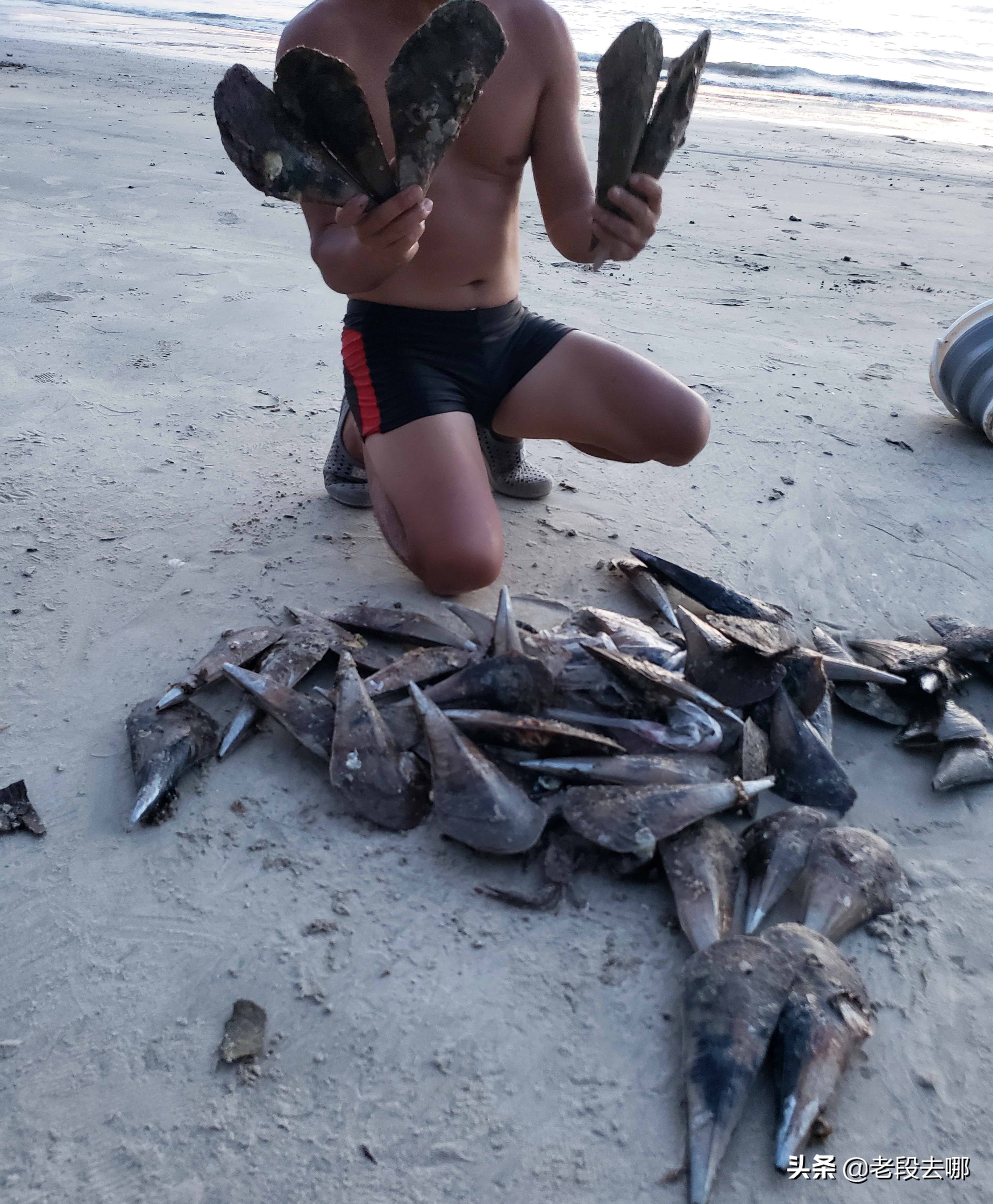 虎坑野沙滩,惠东虎坑沙滩