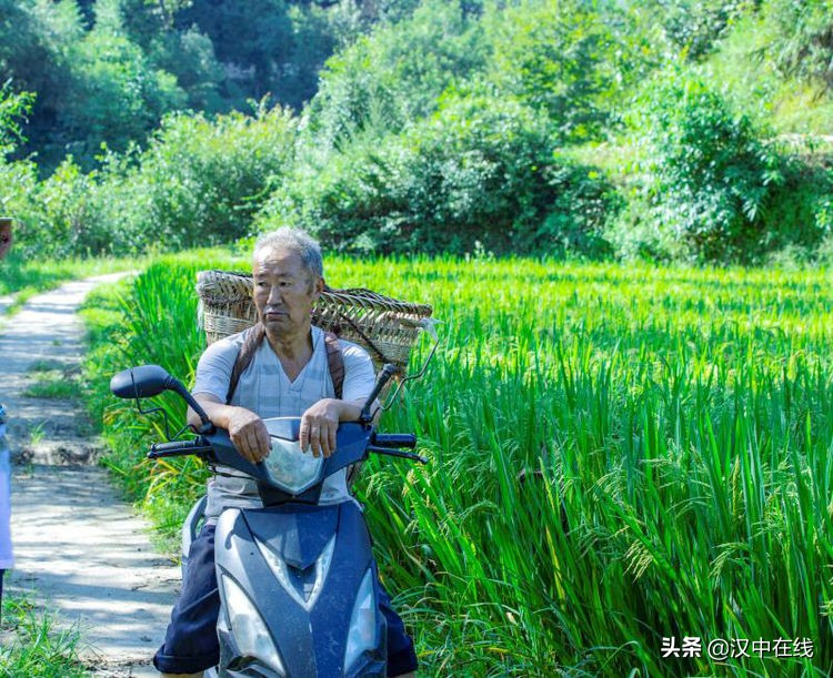 2020汉中水上表演,城固二里泼水