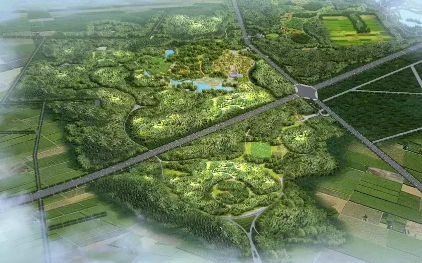 8个新批公园,占地约1350亩生态湿地公园