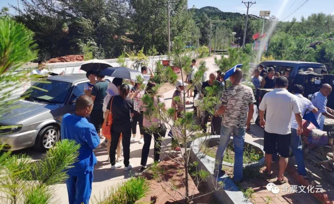 朝阳新闻频道今日关注,朝阳新闻今晚关注栏目