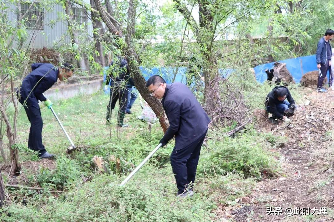清河行动确保绿水长流,清河行动取得成效