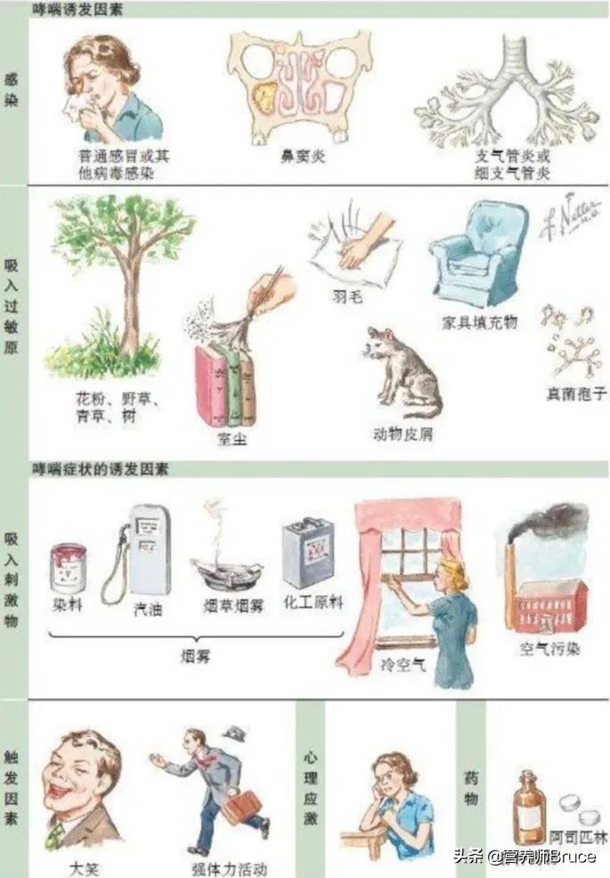 哮喘每晚呼吸困难,哮喘天天犯怎么办