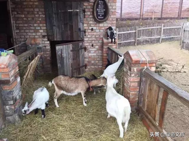 儿童农庄,生态农庄主题乐园