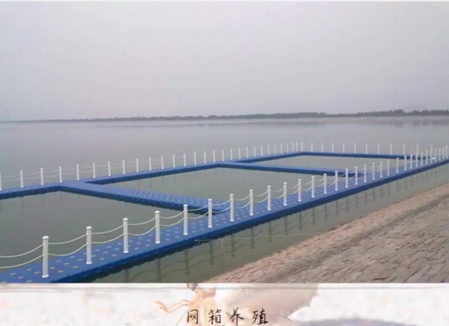 人工养殖海鲜全过程,内陆地区人工养殖海鲜