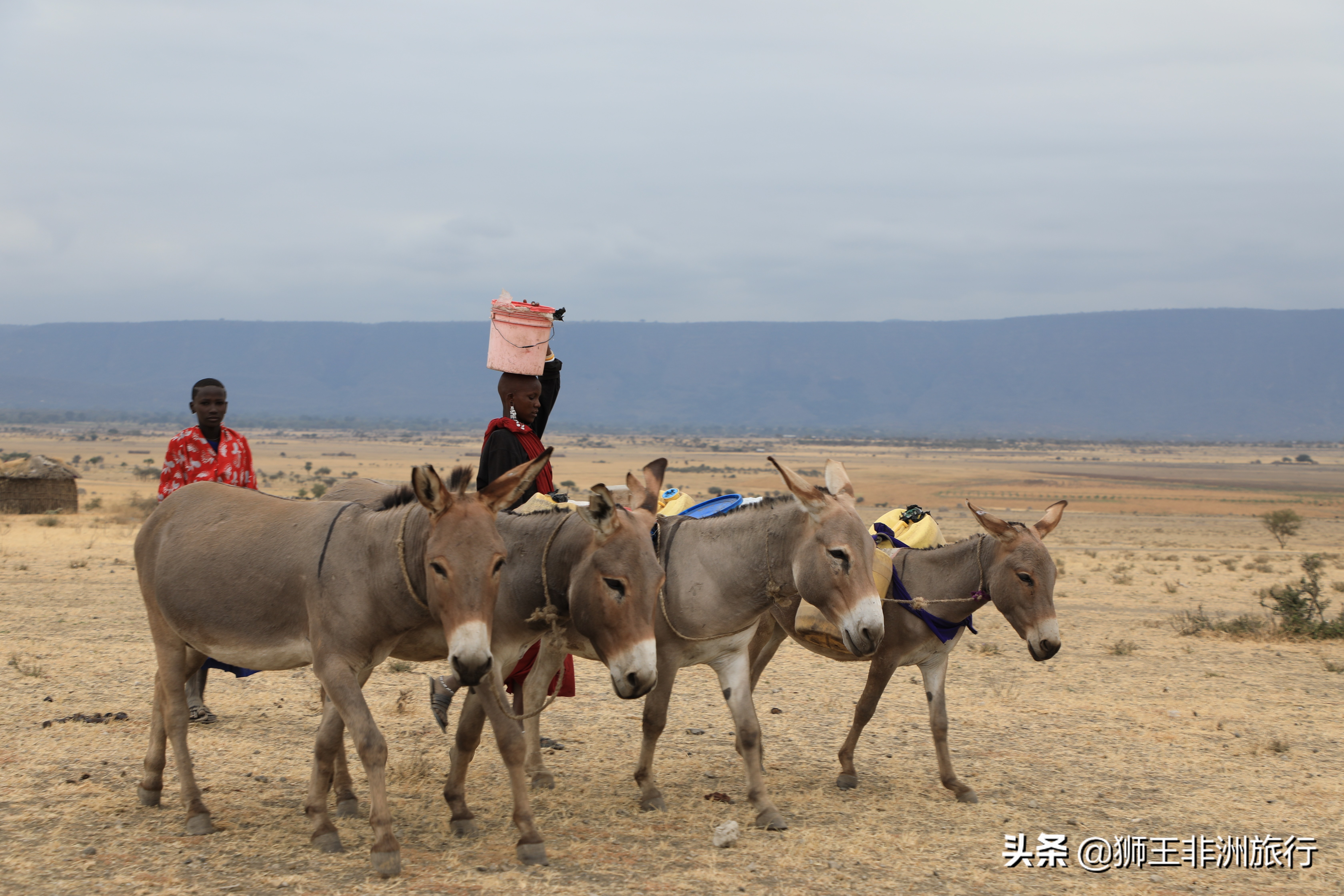 马赛人|非洲最出名的民族