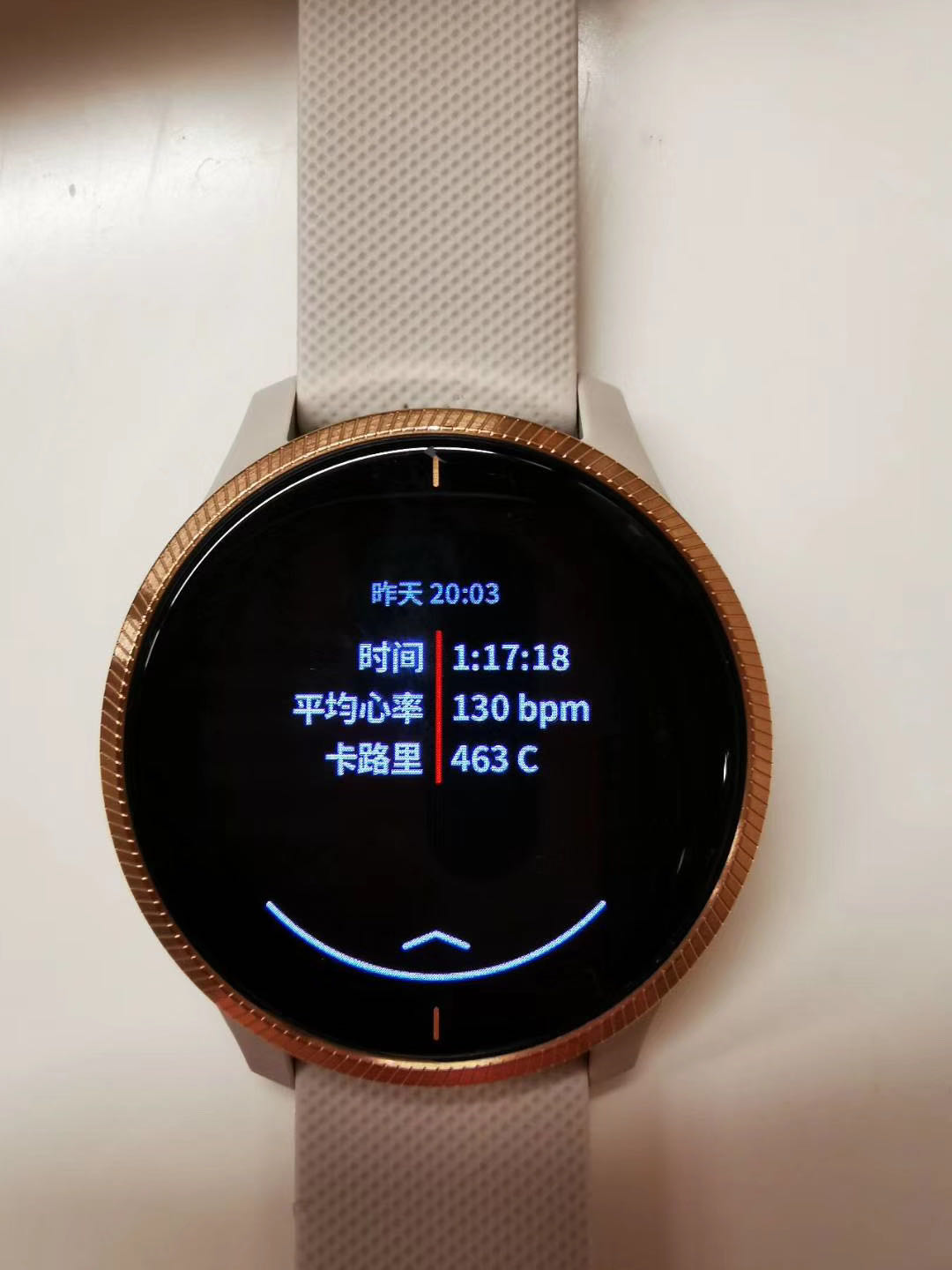 garmin佳明enduro户外运动手表 (佳明手表garminmove 3)