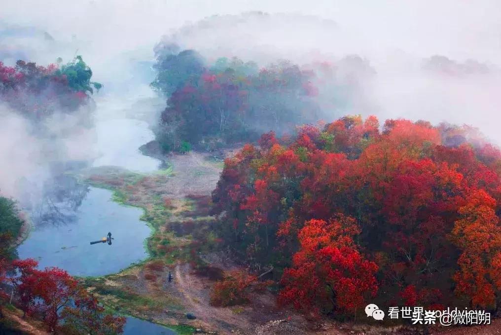 广西人丁最旺的地方,广西含硒最多的地方