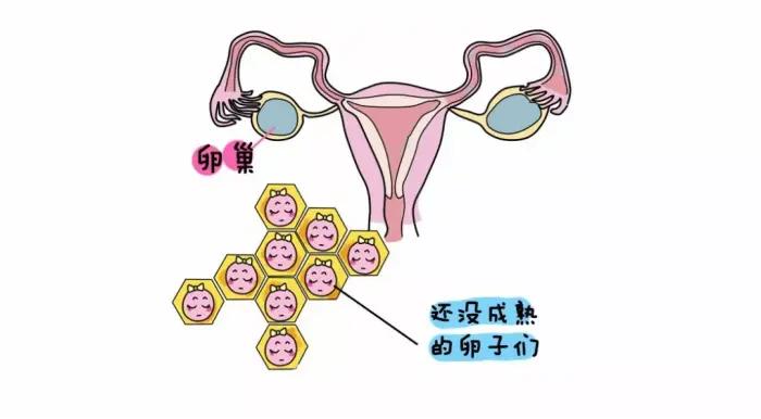 排卵时是什么感觉呢,排卵时有三种表现特别强烈