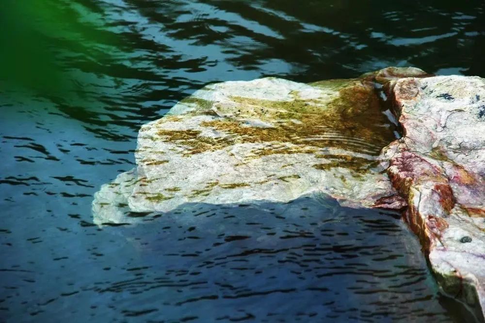 七月份的无锡,七八月份无锡旅游推荐