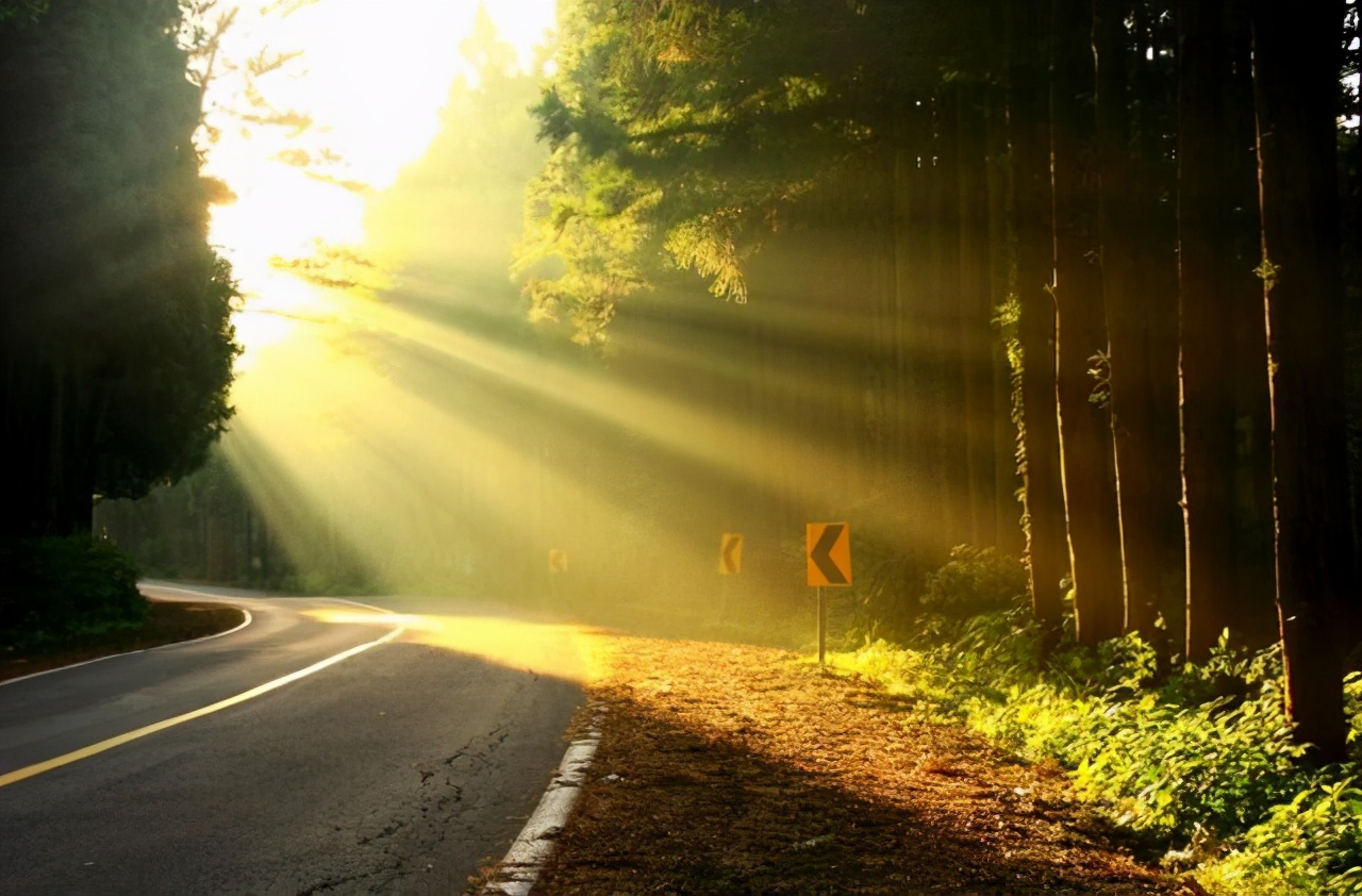 我把抑郁当感冒治，从沉重的焦虑中走出来，抑郁没再来敲门