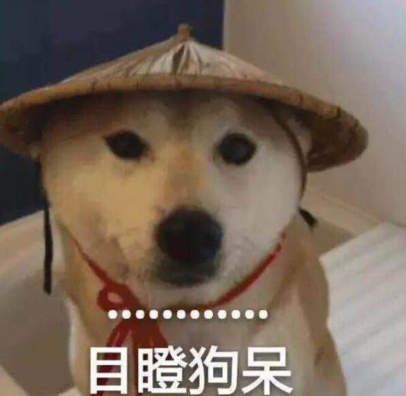 JORDAN会员惊现DIORXAJ1，店月销200多双