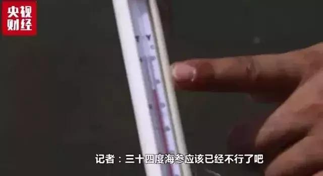 人类面临的生态困境包括哪,生态农业的可能性以及前景