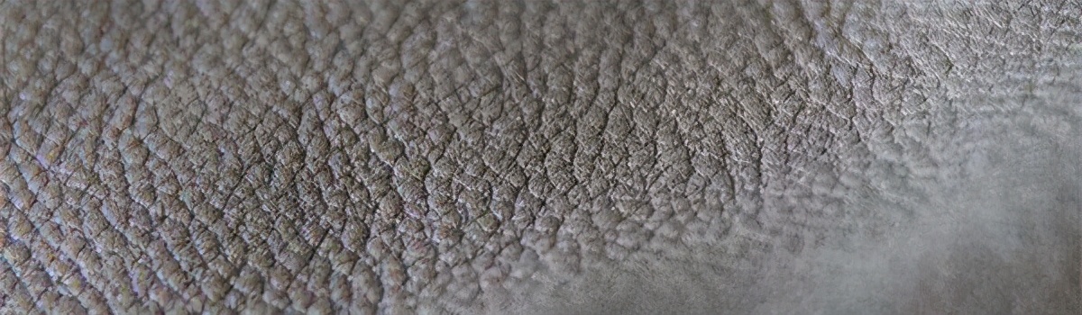 皮革新手如何选皮料,皮艺初学者用什么工具