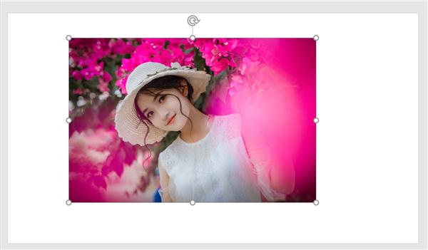 ppt表格的常用实用技巧,ppt原来也能这么玩