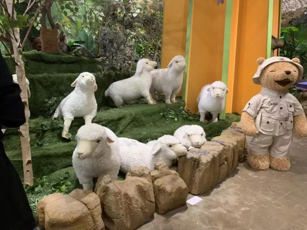 济州岛自由行详细攻略,济州岛自由行超实用攻略