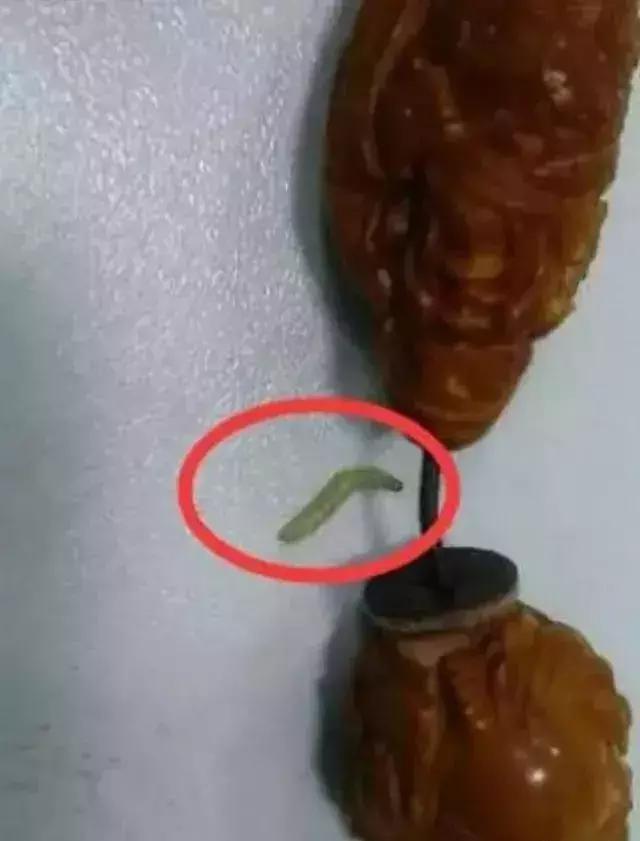 木质手串上的小虫子,手串里的小虫子