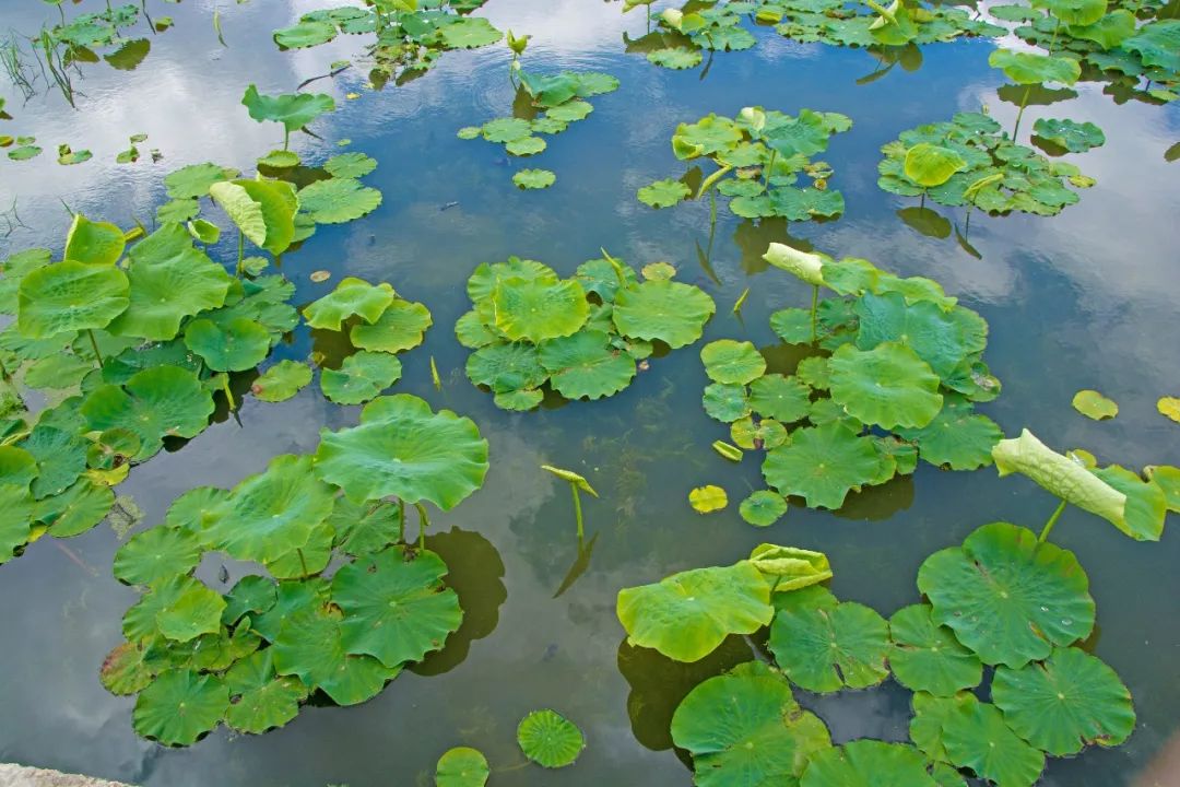 说秋道冬话永胜，气候多样人宜居