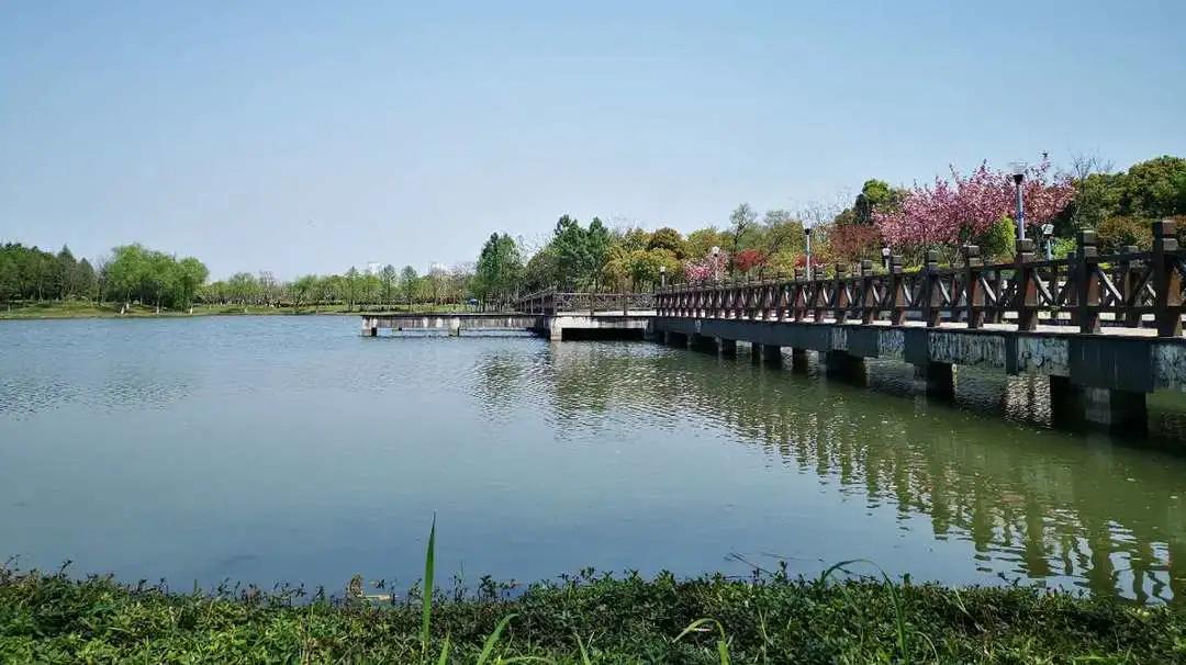 无锡尚贤河湿地夜光跑道路线,无锡古运河慢行步道