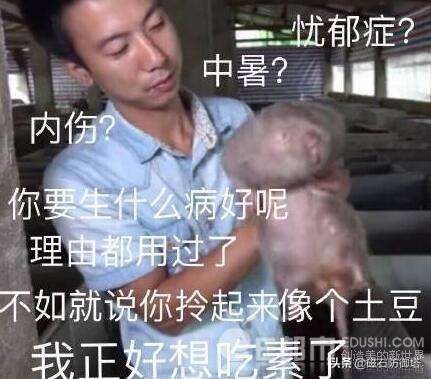 为什么老鼠就那么令人讨厌,盘点那些被人类逼疯的老鼠