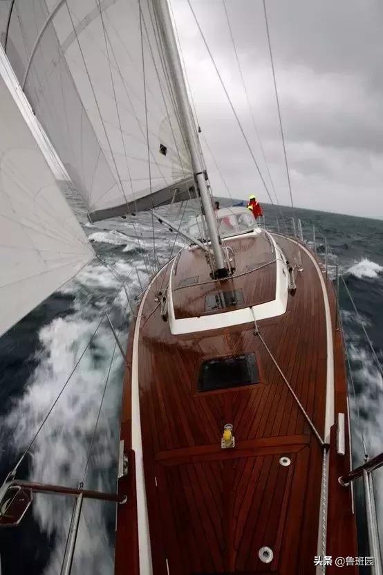 柚木为什么是万木之王,缅甸柚木为什么叫万木之王