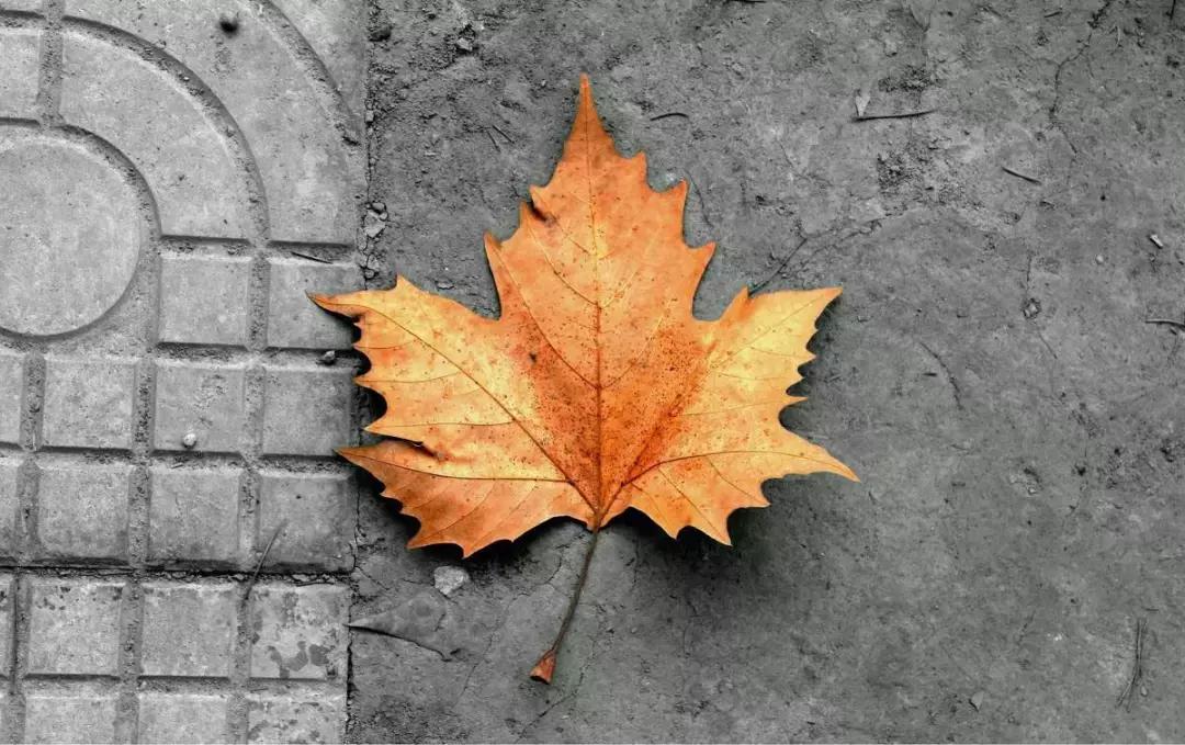 李全喜简介图文,李全喜书法作品欣赏