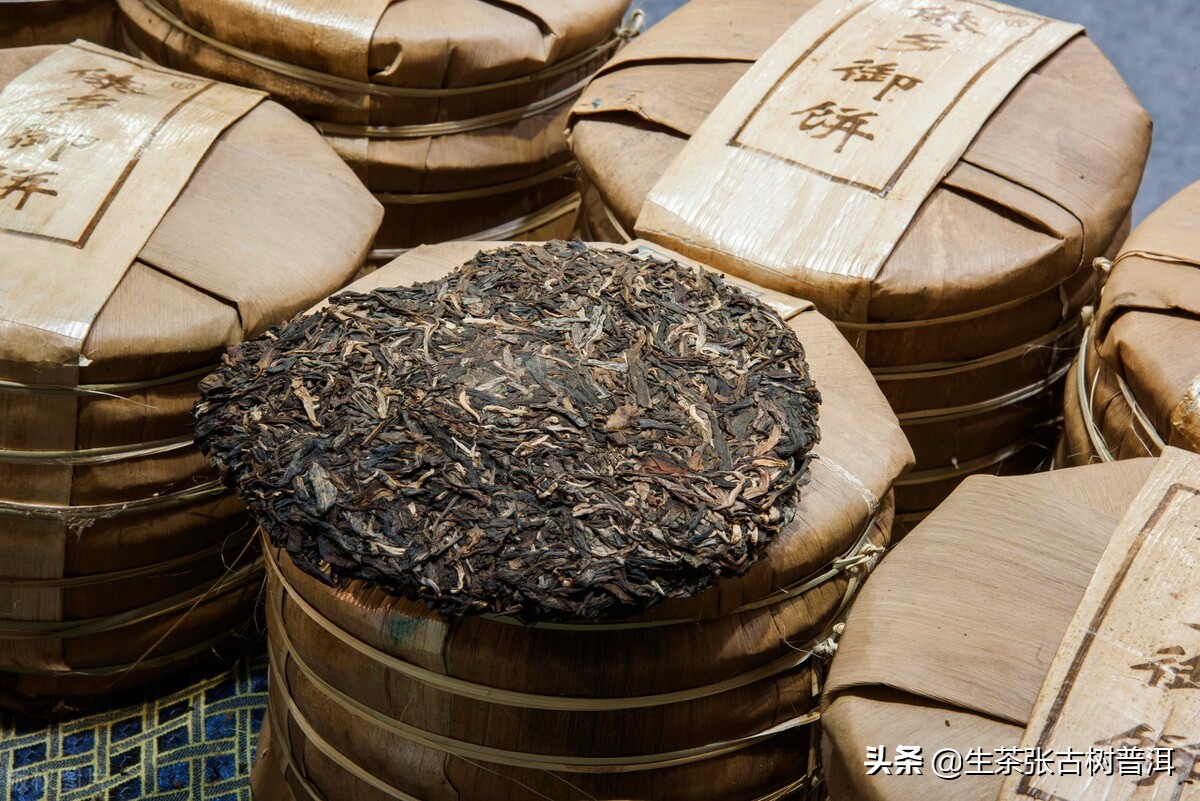 临沧普洱茶茶山介绍,走进勐海茶厂了解前世今生