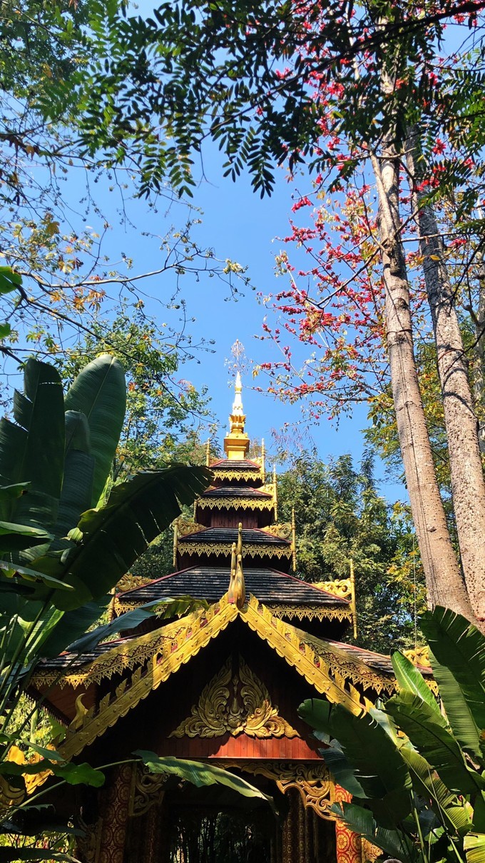 西双版纳是佛教发源地吗,西双版纳的佛教和中国佛教的相同